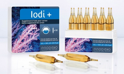 Prodibio Iodi+ x 12 