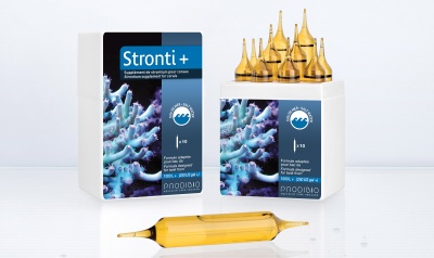Prodibio Stronti Pro x 10 