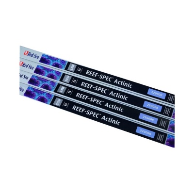 Neon Red Sea Reef Spec T5 Actinic 22000K-24W