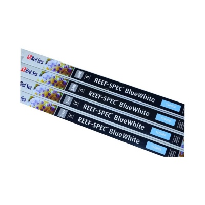 Neon Red Sea Reef Spec T5 blue white 15000K-24W