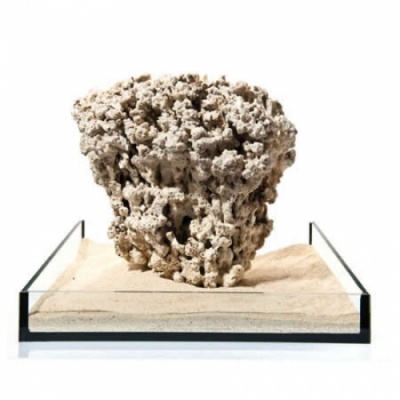 Piatra recif uscata/Reef stone/pret pe kg