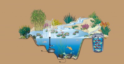 Pompa iaz AquaMax Eco Classic 11500
