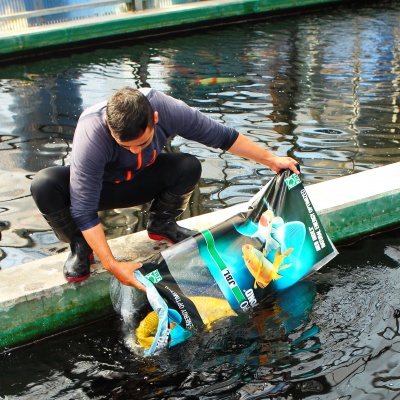 JBL Fish transport XXL 60x150 cm