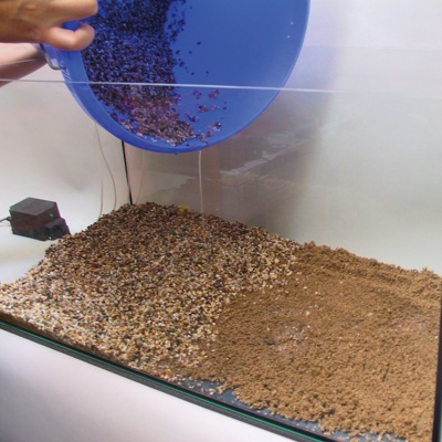 Substrat fertilizant JBL ProFlora AquaBasis Plus 5L-6kg
