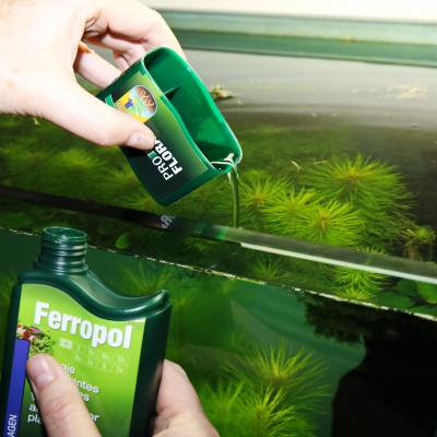 Fertilizant plante acvariu JBL ProFlora Ferropol 500 ml