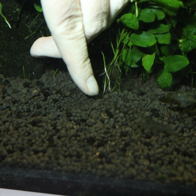 Fertilizant plante acvariu JBL ProFlora The 7+13 Balls