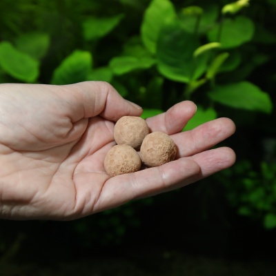 Fertilizant plante acvariu JBL ProFlora The 7+13 Balls