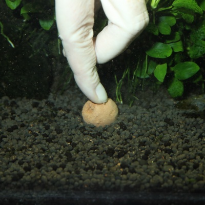 Fertilizant plante acvariu JBL ProFlora The 7+13 Balls