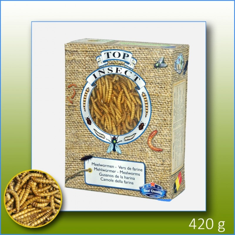 Mealworms - 420g