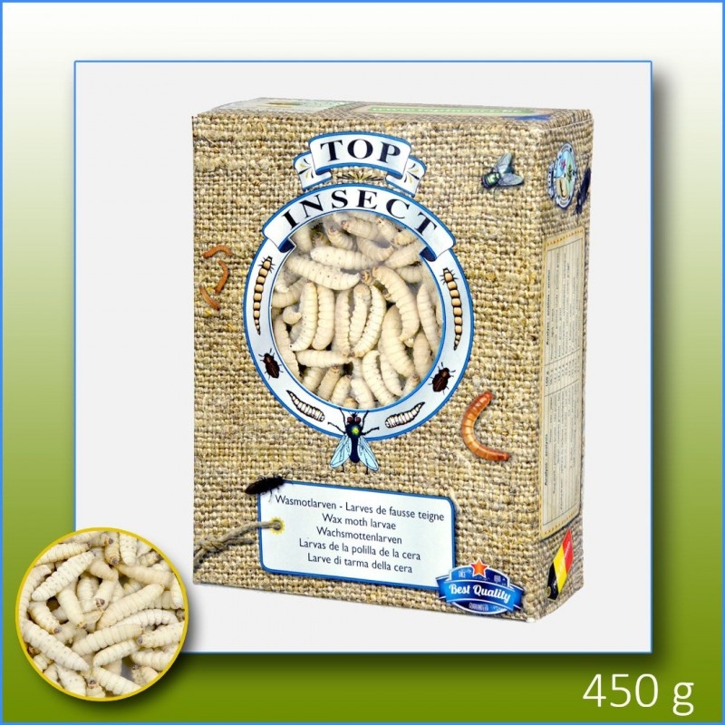 Waxworms (without silk) - 450g