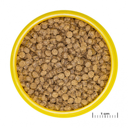 Hrana pesti acvariu JBL ProNovo FANTAIL GRANO M 100 ml CLICK