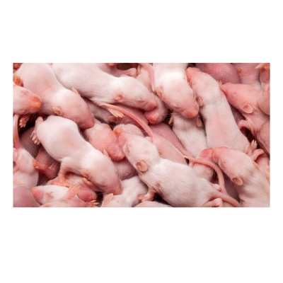 Fuzzies/weaners 3/4g - 100buc punga, pret/kg