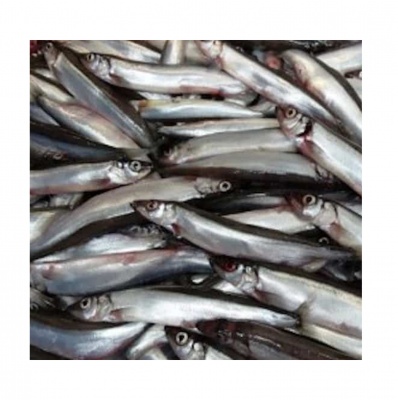 Capelin 15-17cm - 20kg, pret/kg