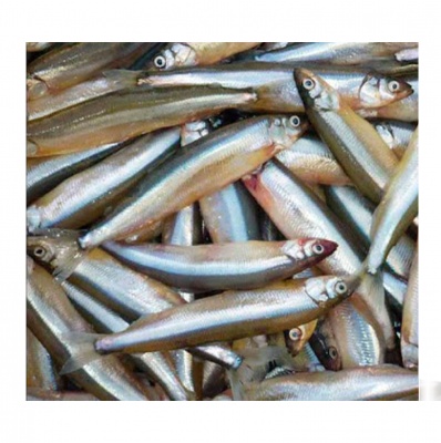 Smelt(Osmerus eperlanus)  IQF- 10kg, pret/kg,  5-8cm, 190-240ppk