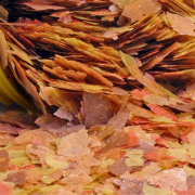 Hrana pesti acvariu Ocean Nutrition Community Formula Flakes 71 g