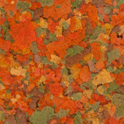 Hrana pesti acvariu Ocean Nutrition Cichlid Omni Flakes 71 g