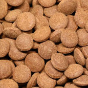 Hrana pesti acvariu Ocean Nutrition Colossus Q2 200 g