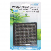 ISTA Water Plant Cultivation Ceramic Square 6.5x6.5 cm