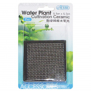 ISTA Water Plant Cultivation Ceramic Square 6.5x6.5 cm