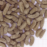 Hrana pesti iaz JBL ProPond Silkworms M 0.34 kg