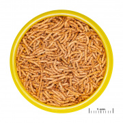 Hrana pesti acvariu JBL ProNovo RED INSECT STICK S 20 ml