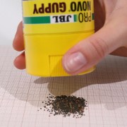 Hrana pesti acvariu JBL ProNovo GUPPY GRANO S 250 ml CLICK 