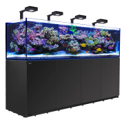 Acvariu REEFER XXL 900 G2+ Complete System Deluxe ATO+ Negru (incl. 4 x Reef LED 90)