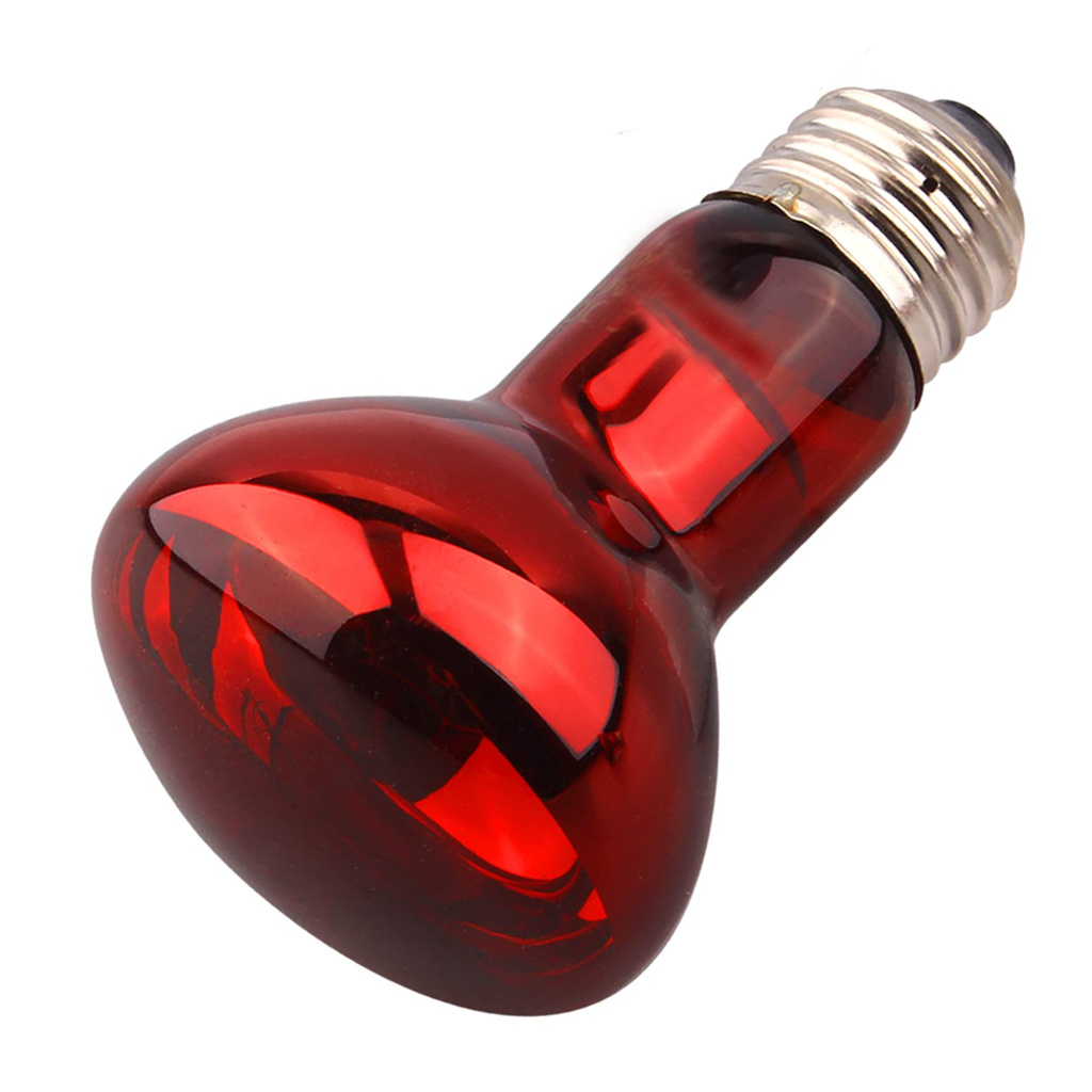 ISTA Reptile Nocturnal Heat Lamp 50W