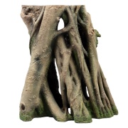 Decor acvariu Amazon root Art 