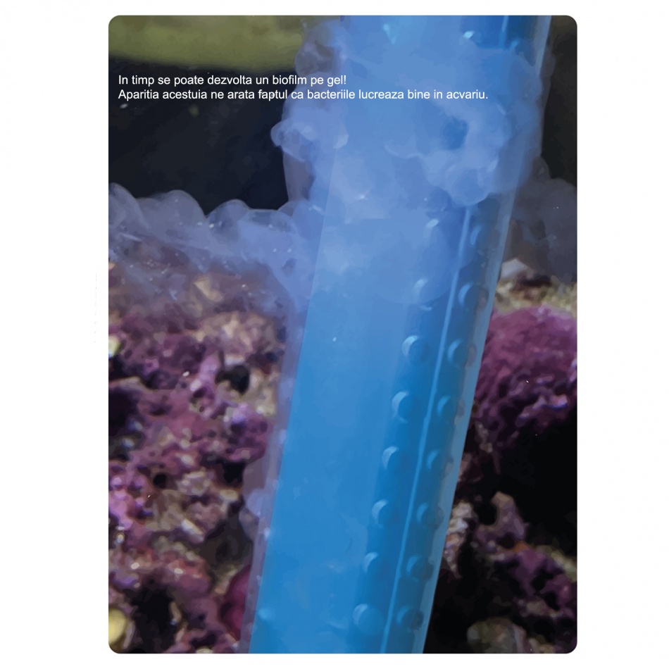 Bacterii acvariu gel Aquarium Systems WASTE AWAY FRESH GEL S 2X