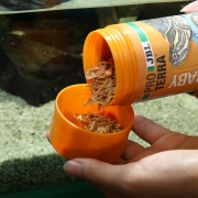 Hrana testoase JBL PROTERRA BABY 250 ml