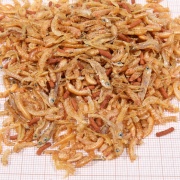 Hrana testoase JBL PROTERRA BABY 250 ml