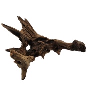 Radacina Drift Wood
