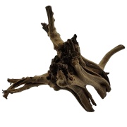 Radacina Drift Wood