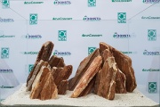 Piatra acvariu Red Wood Rock