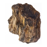 Piatra acvariu Wood Rock