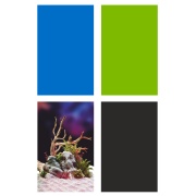 Acvariu Kodiak BettaRainbow Dome 1.4L