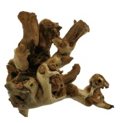 Radacina Mopani Wood