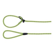 Lesa anti-tras EROS Verde 1,7m/10mm