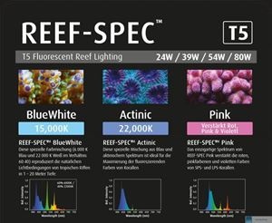 Neon Red Sea Reef Spec T5 blue white 15000K-54W