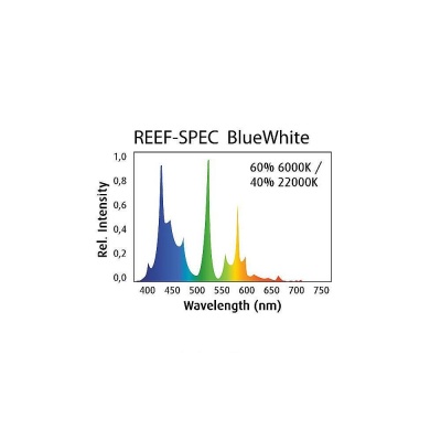 Neon Red Sea Reef Spec blue white 15000K-80W