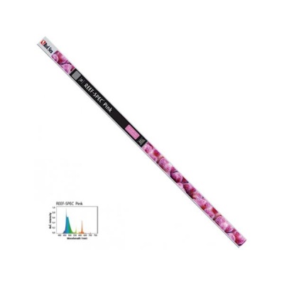 Neon Red Sea Reef Spec T5 Pink-80W
