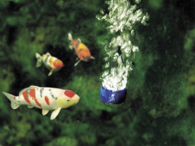 Pompa aer AquaOxy 4800