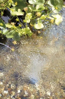 Pompa aer AquaOxy 4800