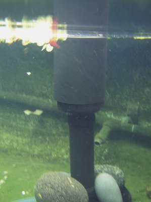 OASE AquaSkim 40