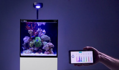 Acvariu NANOCUBE MAX 75- Alb (incl. 1x Reef LED 50)