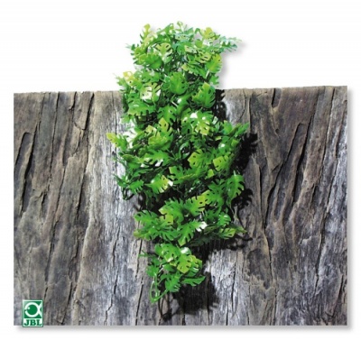 JBL TerraPlanta Amaz Philo M21