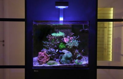Red Sea Reef LED 50W 