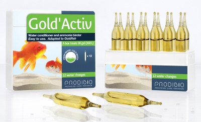 Solutie tratare apa acvariu Prodibio Gold Activ x 12 