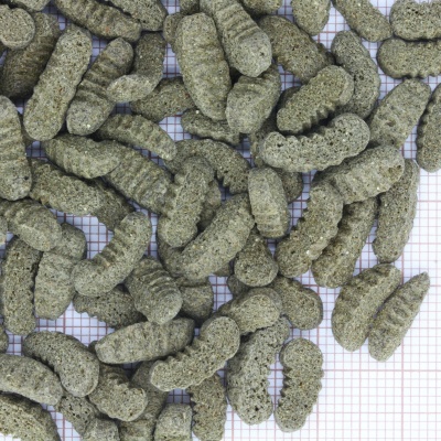Hrana pesti iaz JBL ProPond Silkworms M 1 kg